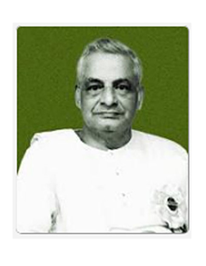 Owl Image